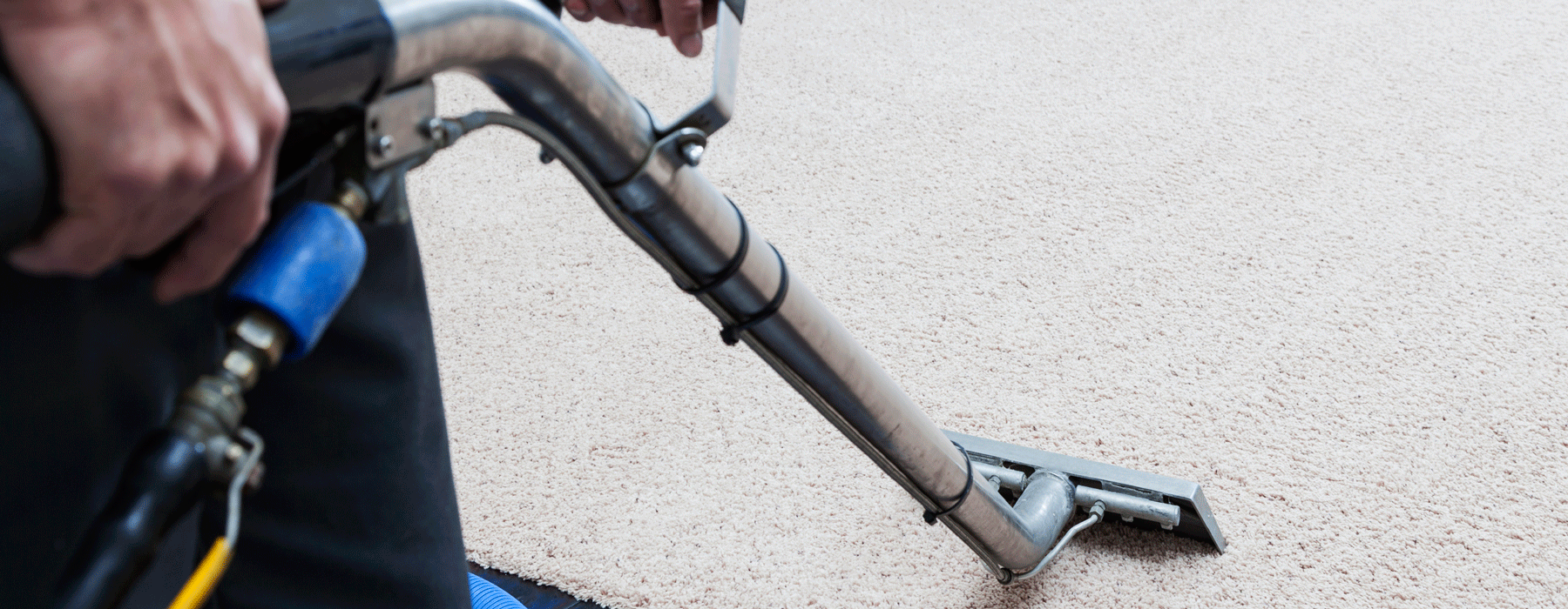 Carpet cleaning Adelaide